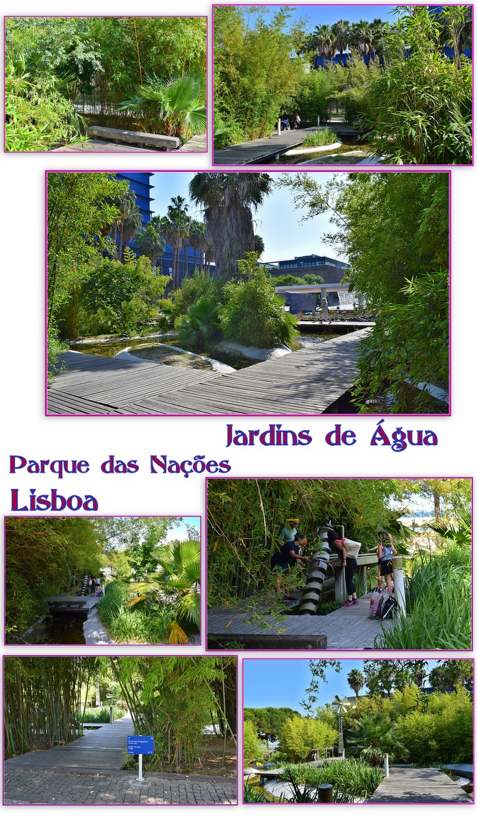 https://fs1.directupload.net/images/user/171203/nnf7guuj.jpg